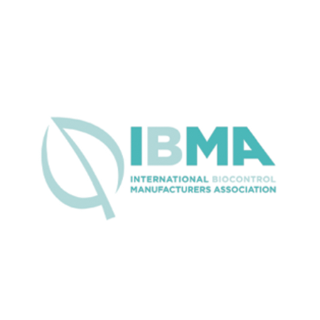 IBMA