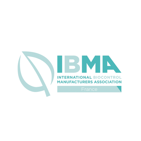 IBMA-2026